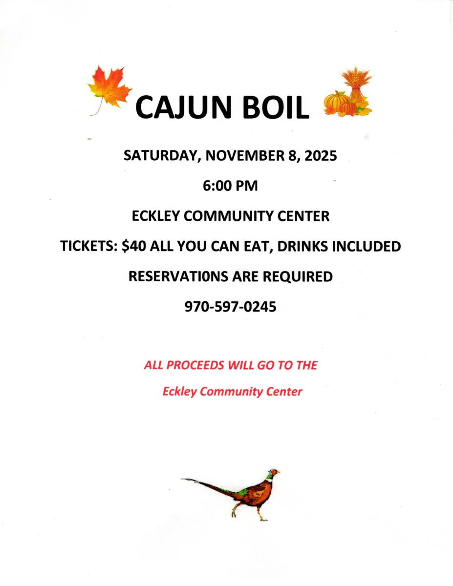 Cajun Boil